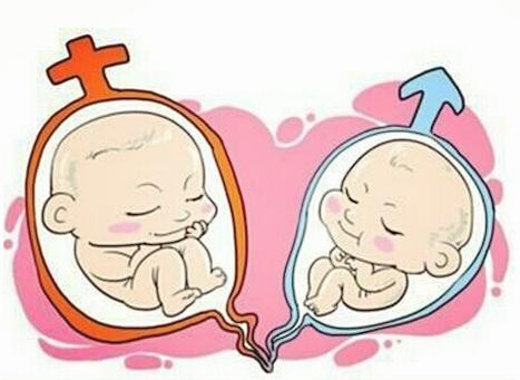 人工孕妈代怀助孕咨询怎么选
